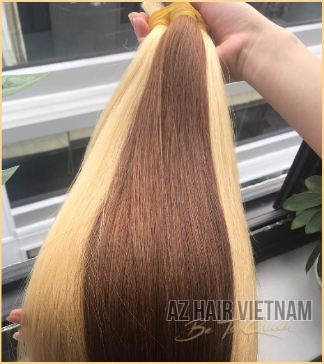 Bulk Straight Hair Extensions Colors Vietnamese 100% Quality Raw Hair