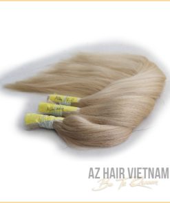 Bulk Straight Color Human Hair 60c AZ HAIR VIETNAM EXTENSIONS