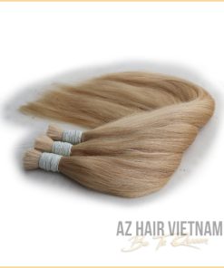 Bulk Straight Color Human Hair 60c Color Hair Extensions AZ HAIR VIETNAM