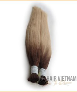 Bulk Straight Color Human Hair Brown Ombre Color AZ Hair Vietnam Hair Extensions