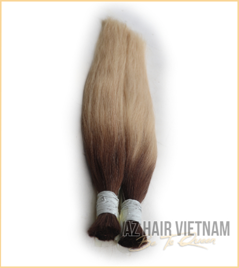 Bulk Straight Hair Ombre Color Human Hair Extensions Raw Vietnamese Hair