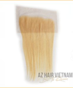 Lace Frontal Straight Blonde Color Cheap Price AZ HAIR EXTENSIONS