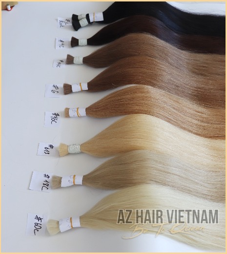 Bulk Straight Hair Extensions Colors Human Hair Vietnam