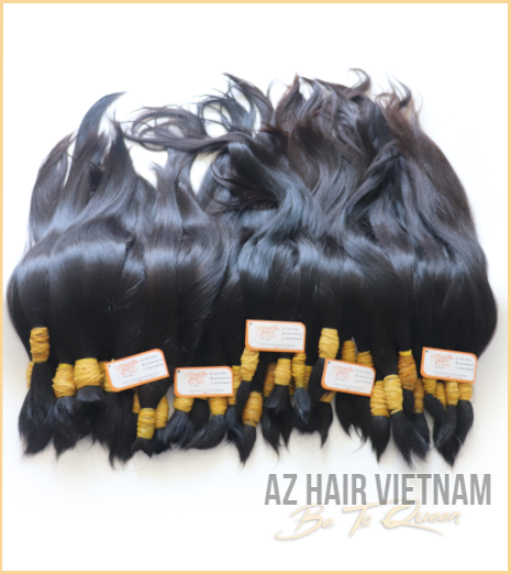 Bulk Hair In One Single Donor Just Cut From Vietnamese Women