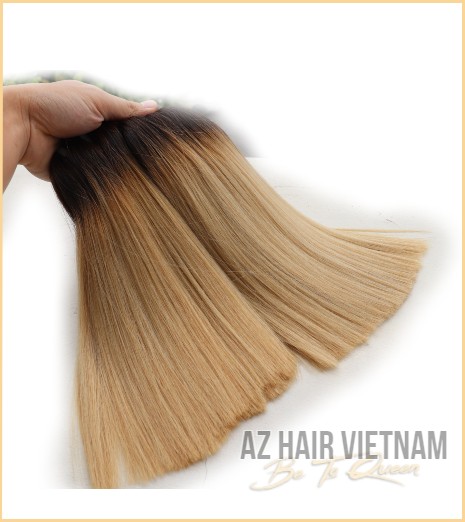Weave Straight Hair SDD Ombre Color AZ16 Vietnamese Hair