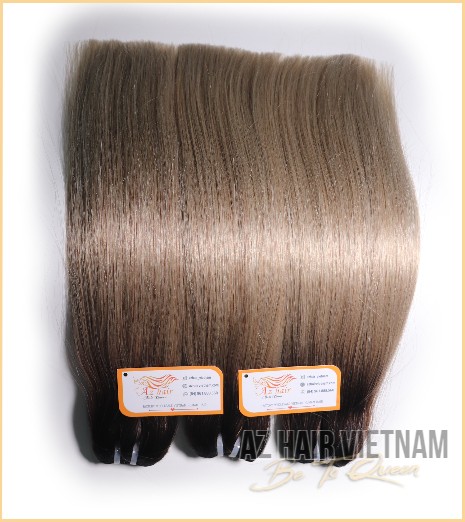 Straight Weft Hair Colored Ombre AZ32 Human Hair Vietnam