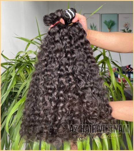 Burmese Curly Hair Vietnamese Quality Only Hair Wholesale Price