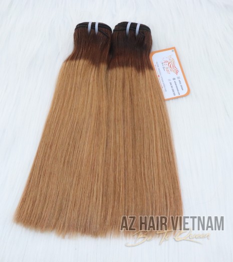 Bone Straight Vietnamese Human Hair AZ03 Color Full Lenght