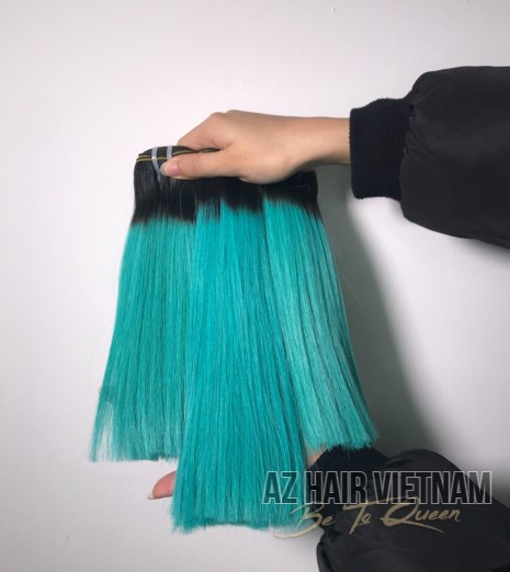 Bone Straight Vietnamese Human Hair AZ42 Color Ombre 14 inches