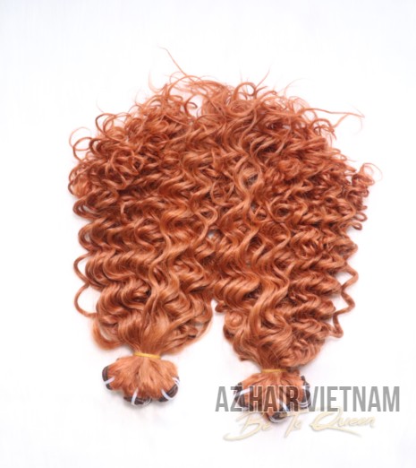 Water Curly Full Color AZ20 Virgin Hair Vietnamese